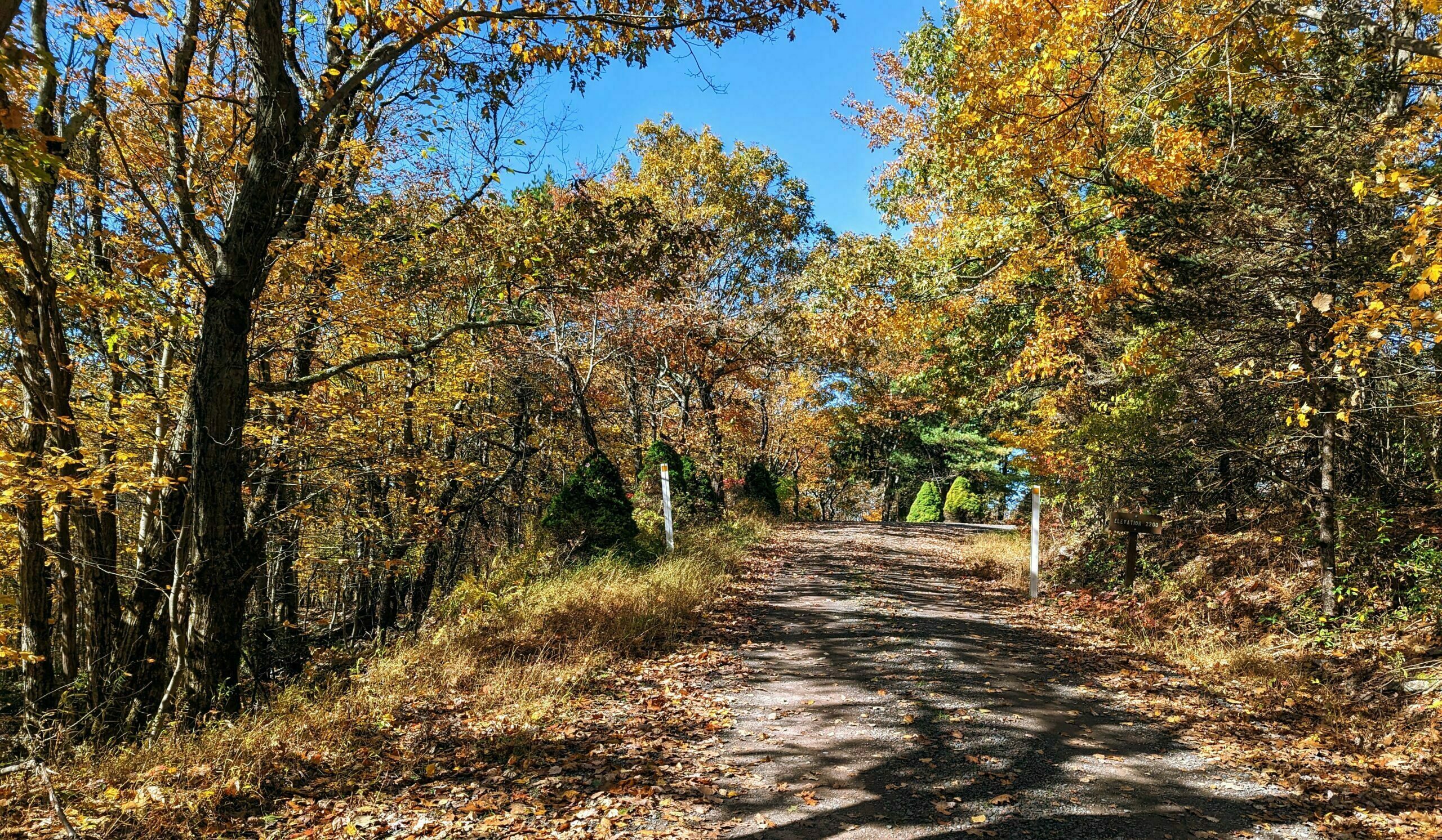 Tower Road, Delaware State Forest, Tunkhannock Township, PA.
Near the Pohopoco Fire Tower.
<p>What3Words: contest.snooping.yucky" class="has-border-color has-foreground-border-color wp-image-216" title="Finding the path"><figcaption class=