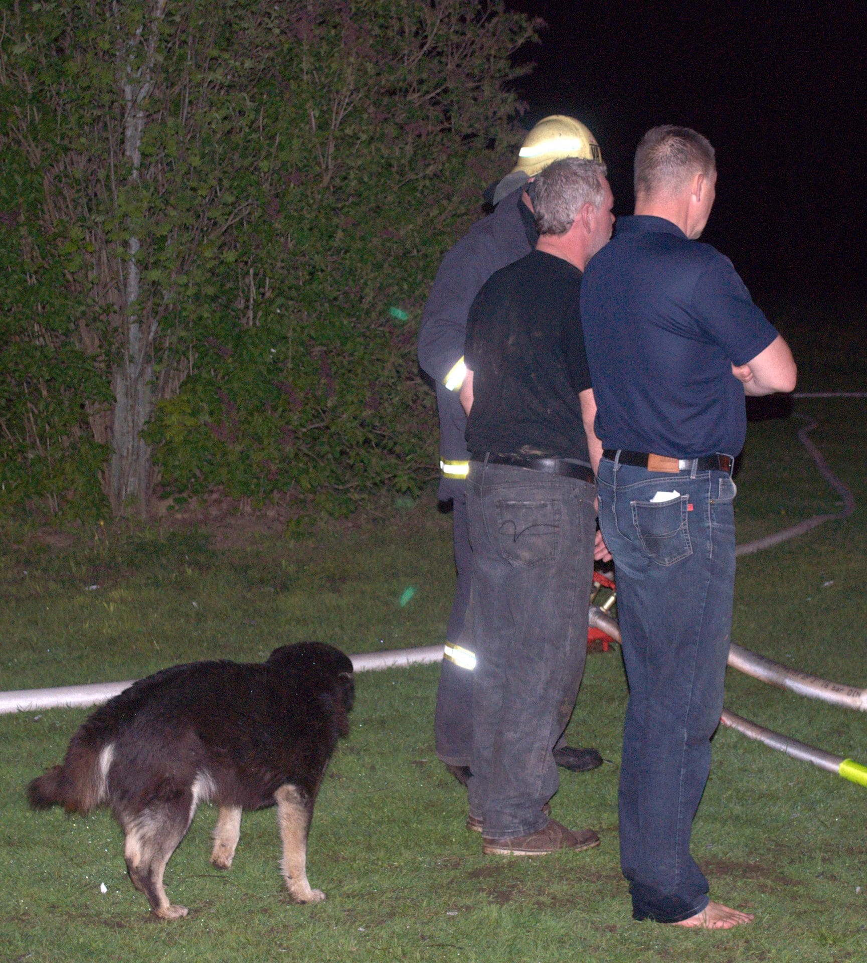 NIKON CORPORATION NIKON D5000 · 42 mm · f/5.3 · 1/60 s A group of people and a dog are gathered outside at night, with hoses on the ground.